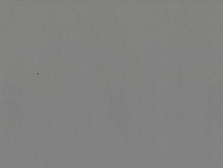 Solid Colors French khaki